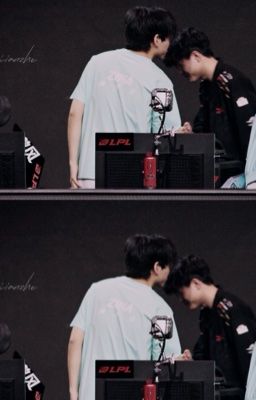 zixun collection 、