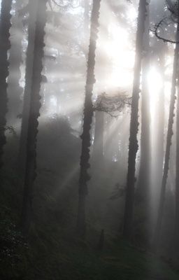 【zixun】最后一页