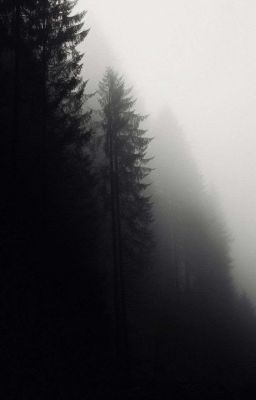 ʙᴜɪᴅᴜʏɴɢᴏᴄ • ᴋʜᴏɪᴠᴜ | acid8