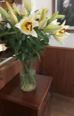 [ ʟɪɴʜᴀɴ ] ʟᴇ sᴏʟᴇɪʟ ʙʀɪʟʟᴇ ᴅᴇ ᴍɪʟʟᴇ ғᴇᴜx