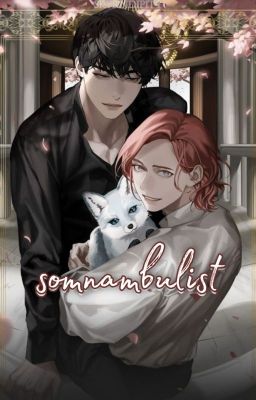 ˗ˏˋ SOMNAMBULIST [crossover] ᶠⁱᶜ 'ˎ˗ UNDER REVISION!