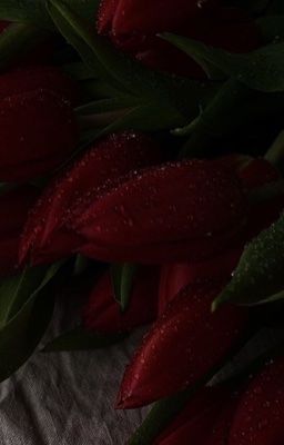 ٠࣪ꫂ 𝒇𝒂𝒅𝒐 ᝰ.ᐟ sau mùa hoa rụng;