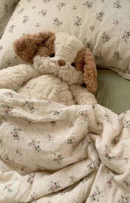 ୨ lck ৎ những chàng bầu hành động 