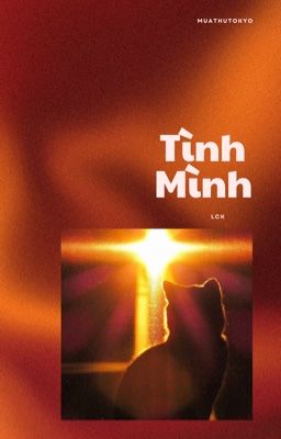 เญจ lck เง Tรฌnh Mรฌnh