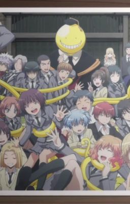 ᴛʜᴇ ᴍᴜsᴇ [Assassination classroom x reader]