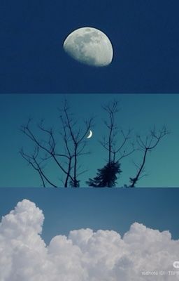 [壳花/fakenut] the moon is coming to me