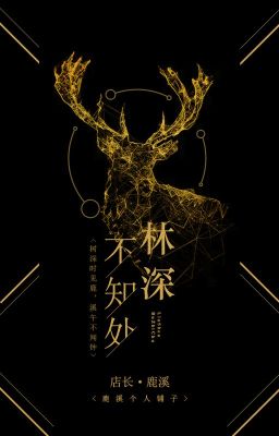 林深不知处