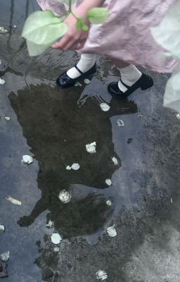 绕圈转