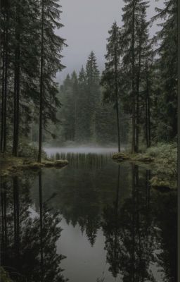 ꨄ𝓱𝓸𝓸𝓴𝔂-𝔀𝓮𝓫𝓽𝓸𝓸𝓷ꨄ