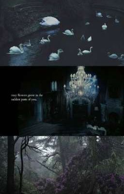 ＣＩＴＹ   ＯＦ   ＬＯＳＴ   ＳＯＵＬＳ
