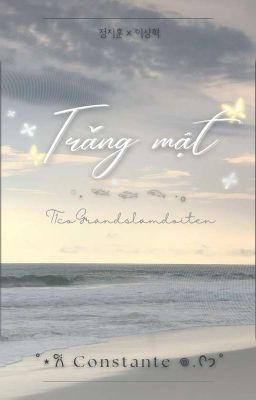 ╹𝐂𝐨𝐧𝐬𝐭𝐚𝐧𝐭𝐞 এଓ 𝟏𝟒:𝟎𝟎╻ Trăng Mật