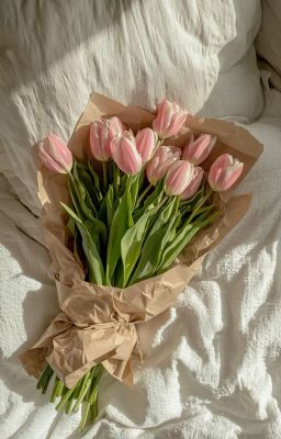 𝐎𝐧𝐫𝐚𝐧︱Tinh Tường 𝄞𝄢