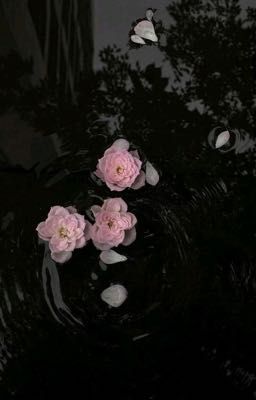 [𝐒𝐚𝐧𝐞𝐆𝐢𝐲𝐮𝐮] Bên kia bầu trời