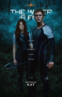 𝐓𝐇𝐄 𝐖𝐀𝐓𝐄𝐑 𝐈𝐒 𝐅𝐈𝐍𝐄, finnick odair