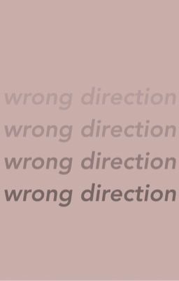𝐖𝐑𝐎𝐍𝐆 𝐃𝐈𝐑𝐄𝐂𝐓𝐈𝐎𝐍 ; 𝒂𝒏 𝒐𝒓𝒊𝒈𝒊𝒏𝒂𝒍 | ON HOLD ✐