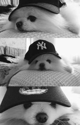 𝐝𝐞𝐟𝐢𝐤𝐨 ₊˚ ❅ mơ về trăng non rét ngọt 