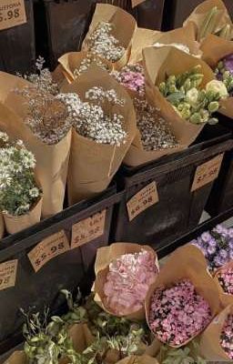 𝐞𝐱𝐬𝐡 • 𝐥𝐨𝐯𝐞 𝐜𝐡𝐨𝐫𝐮𝐬