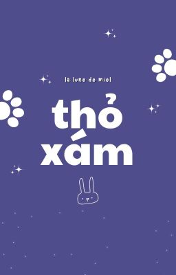 𝑾𝒂𝒙𝒊𝒏𝒈 𝑪𝒓𝒆𝒔𝒆𝒏𝒕 ☾ 17:00 | thỏ xám