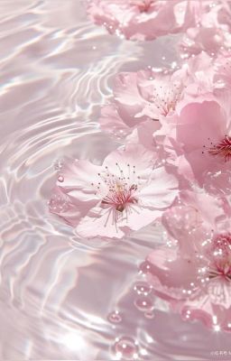 『𝒂𝒎𝒐𝒖𝒓𝒆𝒖𝒙/faguon』chất dẫn đường