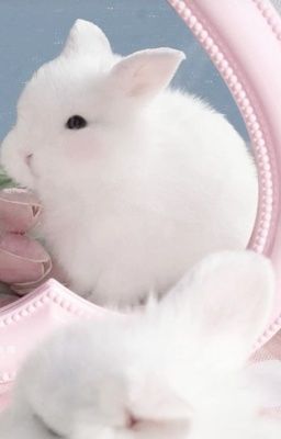 𝒐𝒏𝒓𝒂𝒏 ᝰ.ᐟ mê say thêm lần nữa.