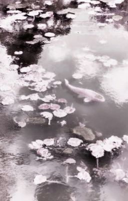 𝓯𝓪𝓴𝓮𝓷𝓾𝓽|