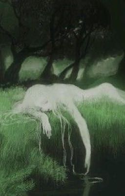 𝓼𝓪𝓸𝓾𝓵