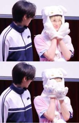 𝙈𝙞𝙣𝙚 𝙊𝙣𝙡𝙮 [ ѕυɴѕυɴ ]