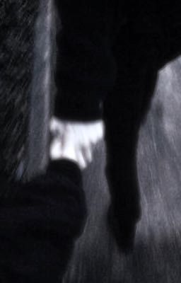 𝙉𝙀𝙑𝙀𝙍𝙈𝙊𝙍𝙀 ☽ 𝙄𝙢𝙖𝙜𝙞𝙣𝙚𝙨 𝙖𝙣𝙙 𝙥𝙧𝙚𝙛𝙚𝙧𝙚𝙣𝙘𝙚𝙨 
