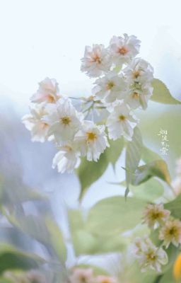 𝙥𝙧𝙚𝙘𝙞𝙚𝙪𝙭