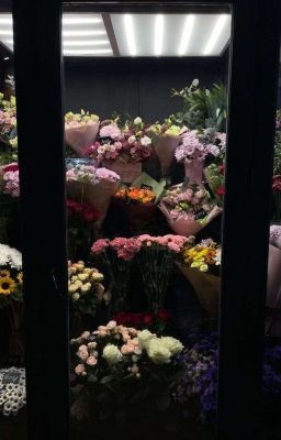 (𝙾𝚗𝟸𝚎𝚞𝚜) 𝚃𝚑𝚞𝚗𝚍𝚎𝚛 𝚋𝚕𝚘𝚘𝚖